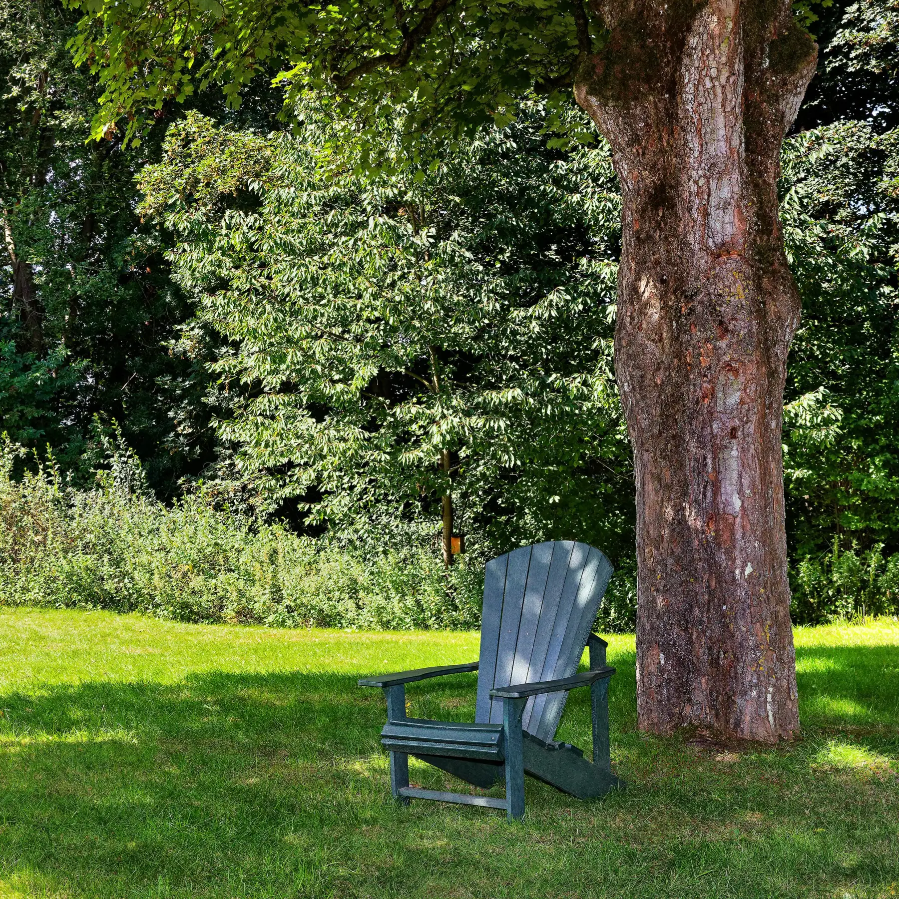 Persönlichkeitsstörungen