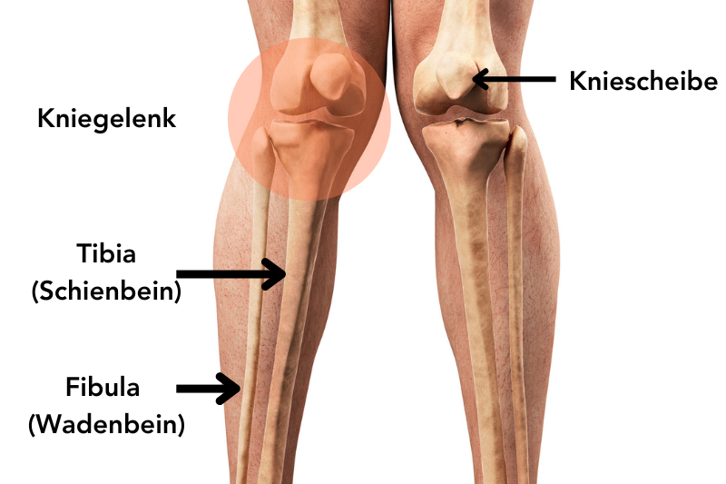 Knstliches Kniegelenk (Endoprothese) | Klinikradar