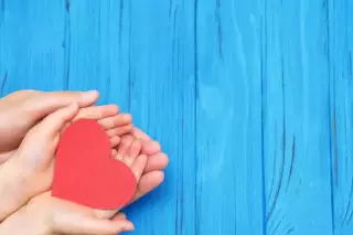 Nieren- und Harnwege