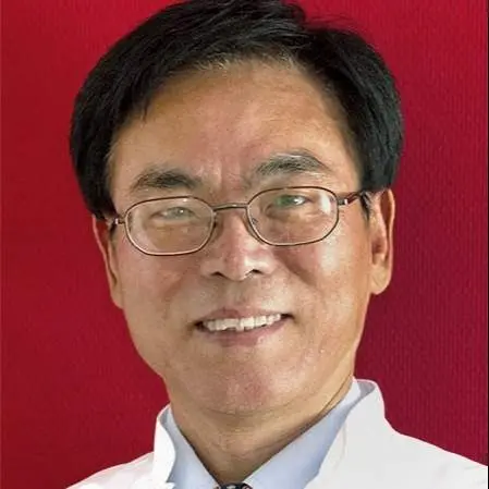 Behandlungskonzepte in der Traditionellen Chinesischen Medizin (TCM): Ein Überblick