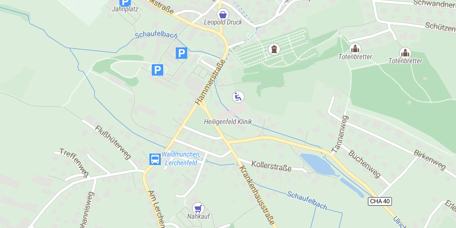 Kartenansicht Heiligenfeld Klinik Waldmünchen