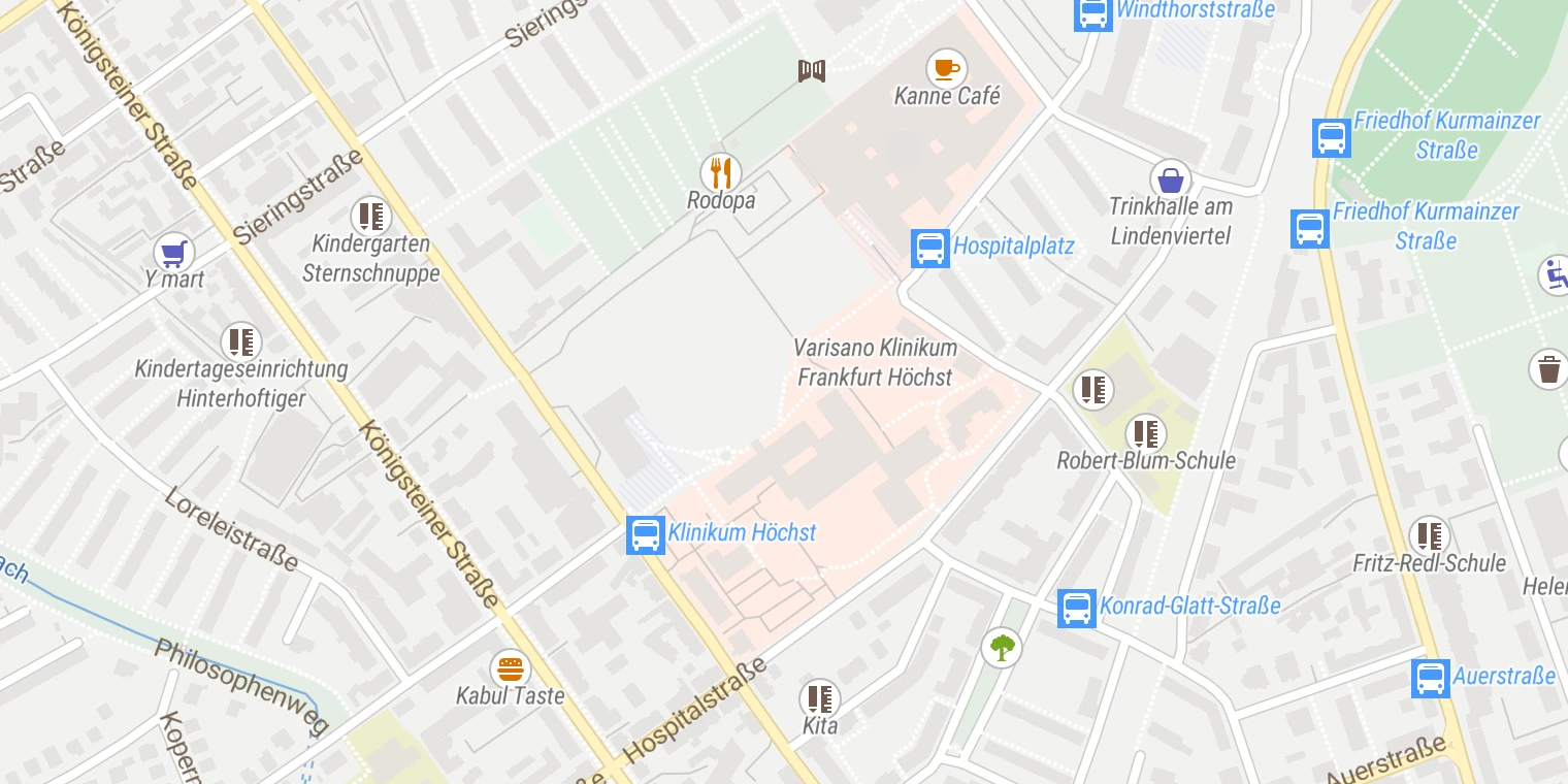 Kartenansicht Klinikum Frankfurt Höchst