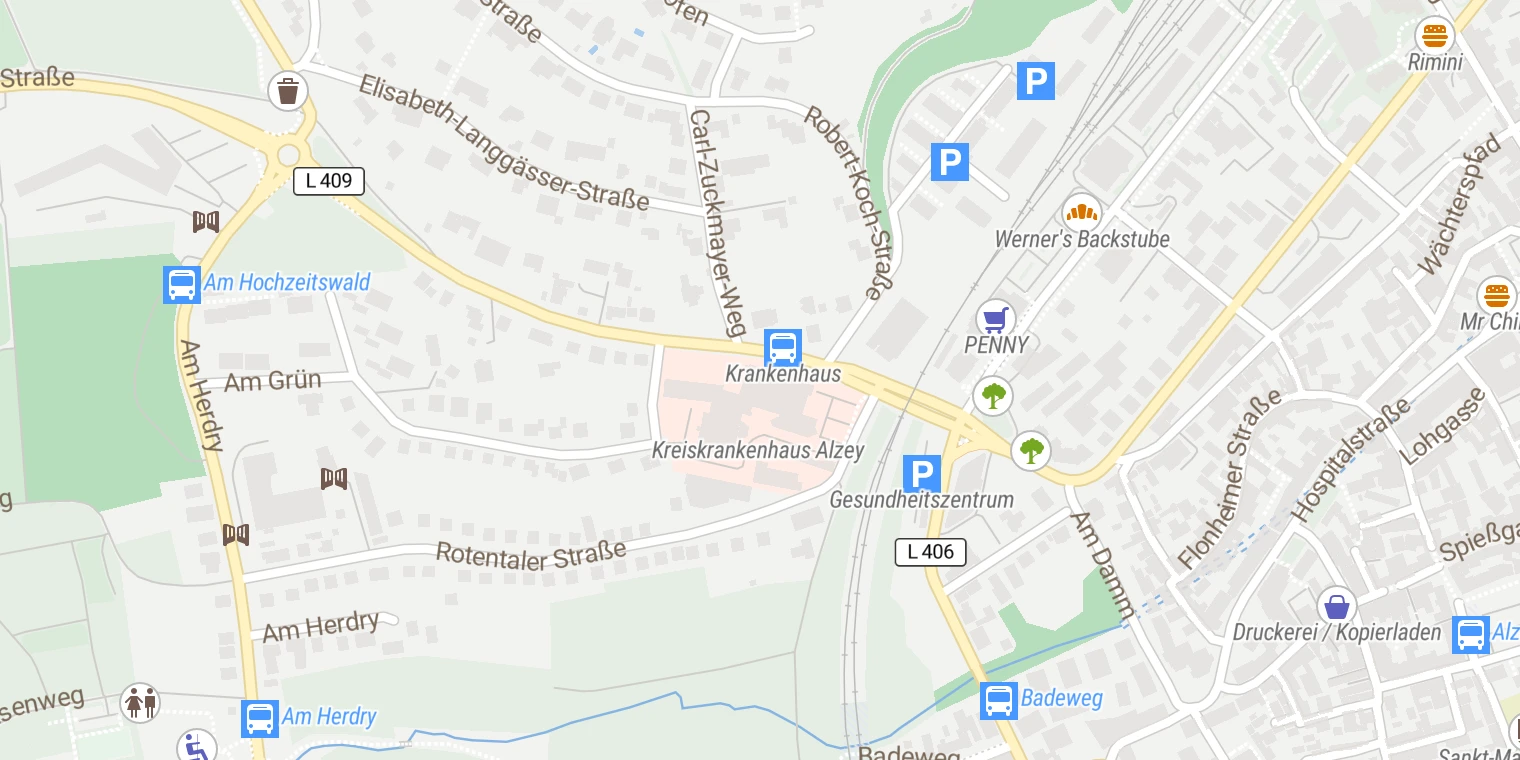 Kartenansicht Kreiskrankenhaus Alzey