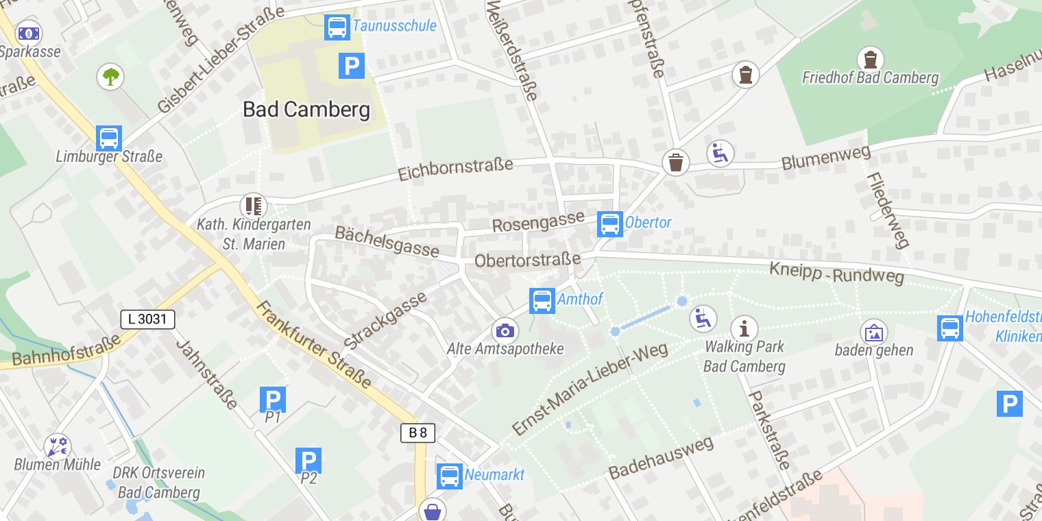 Kartenansicht Medical Park Bad Camberg