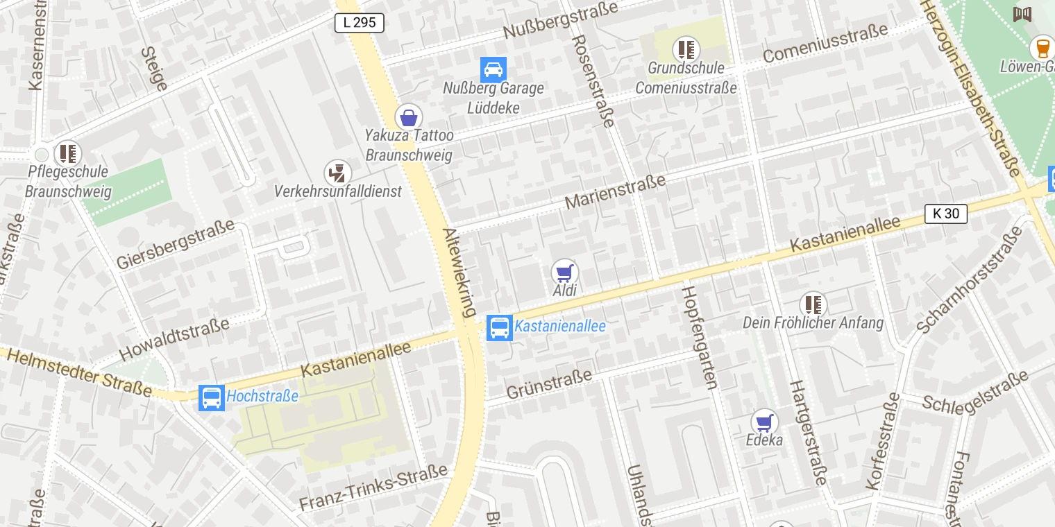Kartenansicht Venenzentrum Braunschweig - Kastanienallee