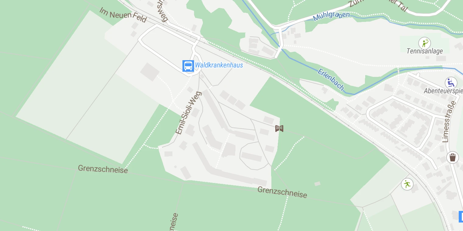 Kartenansicht Vitos Waldkrankenhaus Köppern