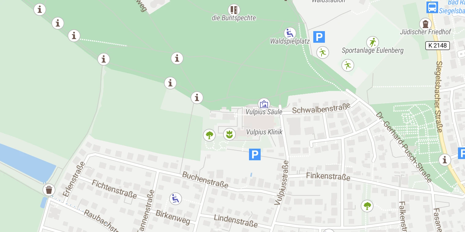 Kartenansicht Vulpius Klinik
