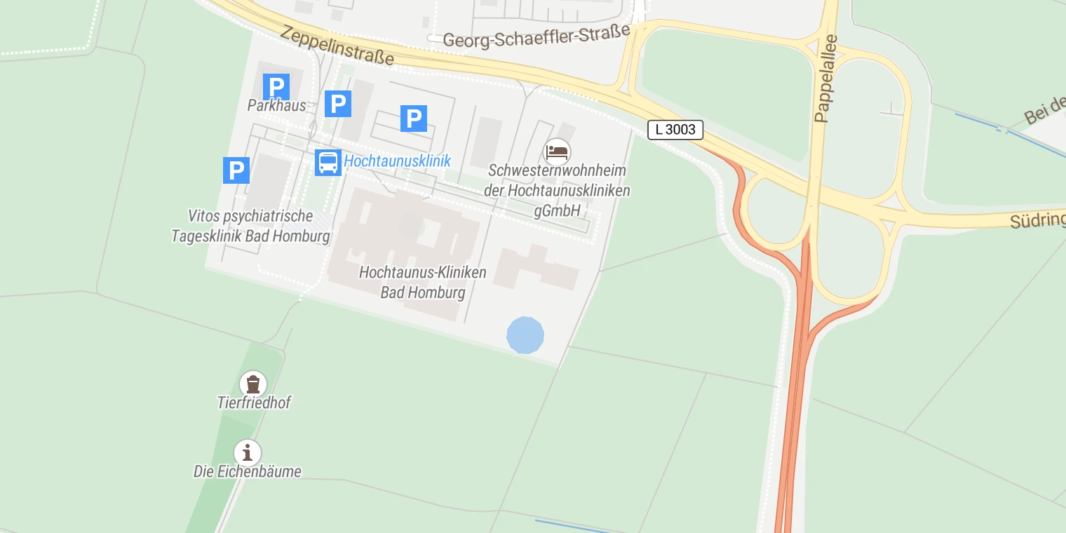 Kartenansicht Vitos Klinik für Psychiatrie und Psychotherapie Bad Homburg