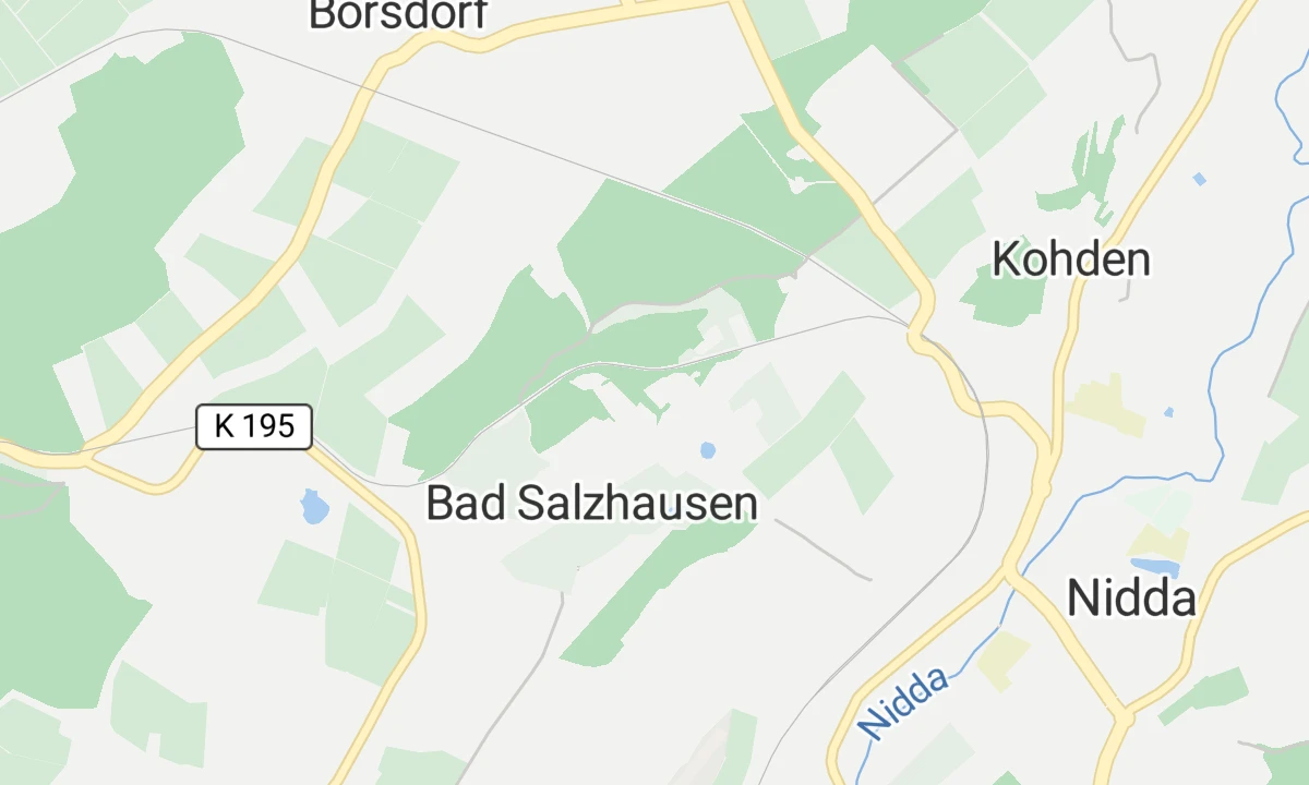 Kartenansicht Asklepios Neurologische Klinik Bad Salzhausen