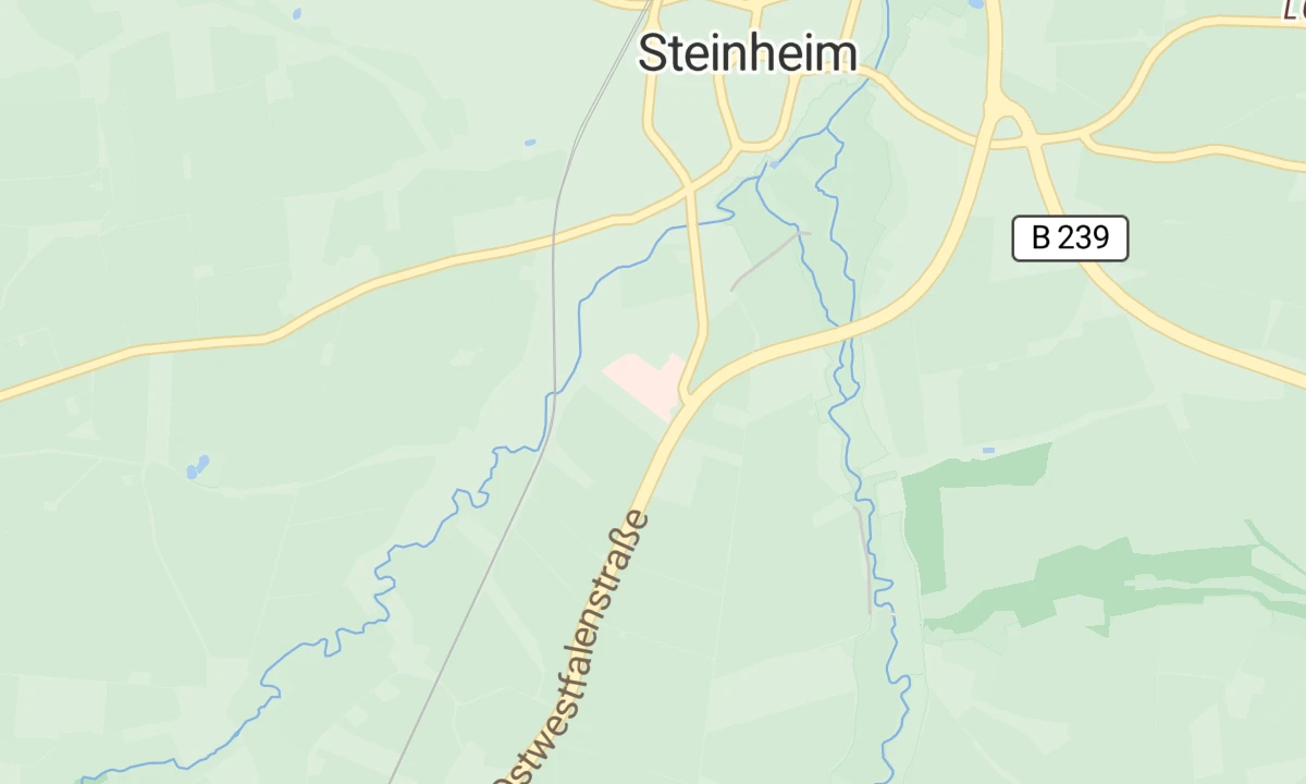 Kartenansicht St. Rochus Krankenhaus Steinheim